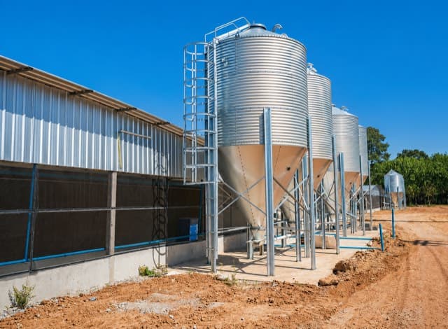 Feed silos beside a commercial poultry shed