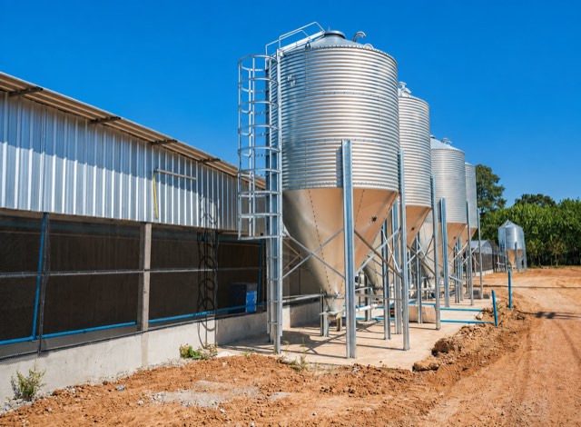 Feed silos beside a commercial poultry shed
