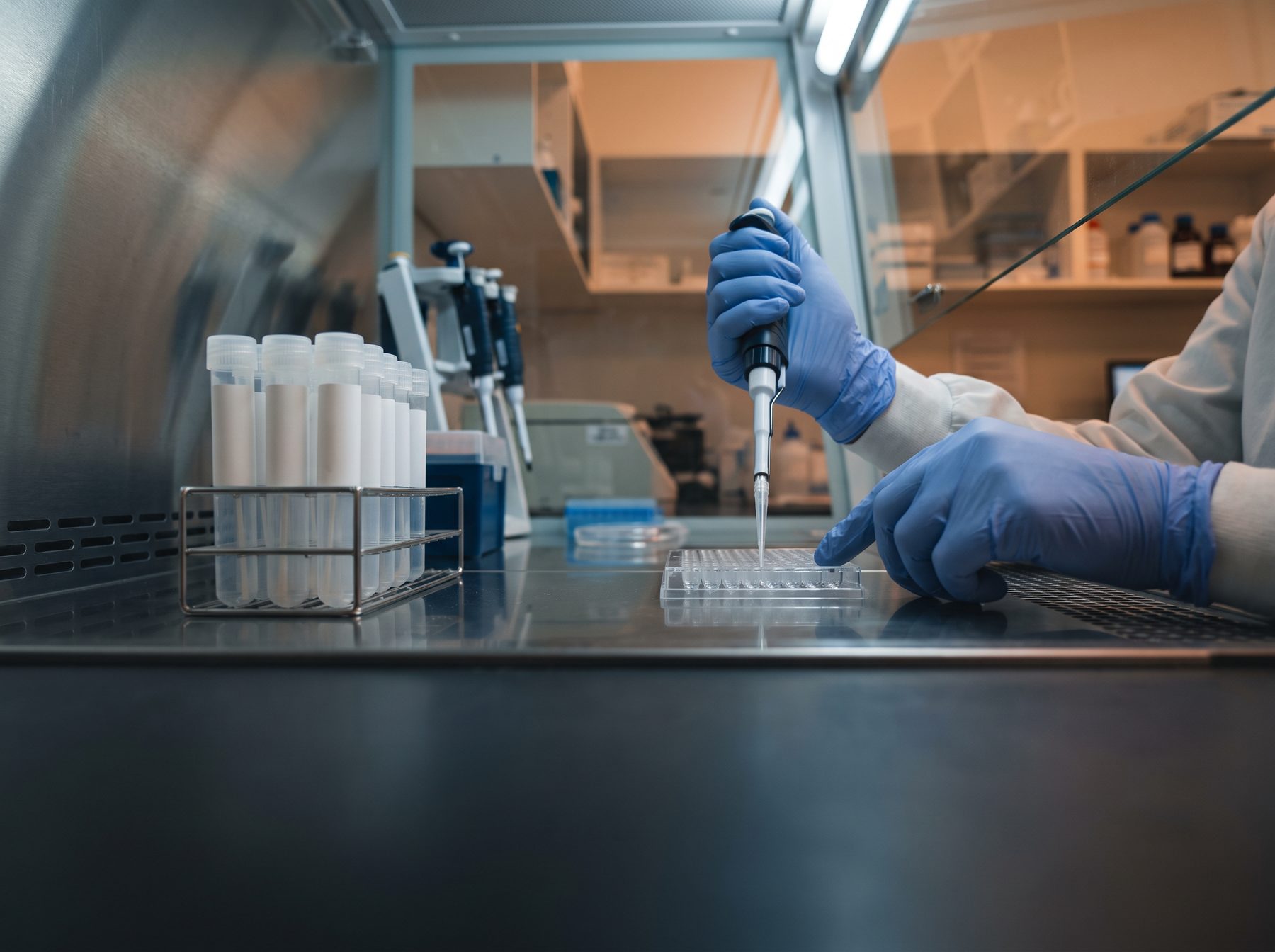 Gloved hands loading poultry swab samples for laboratory testing